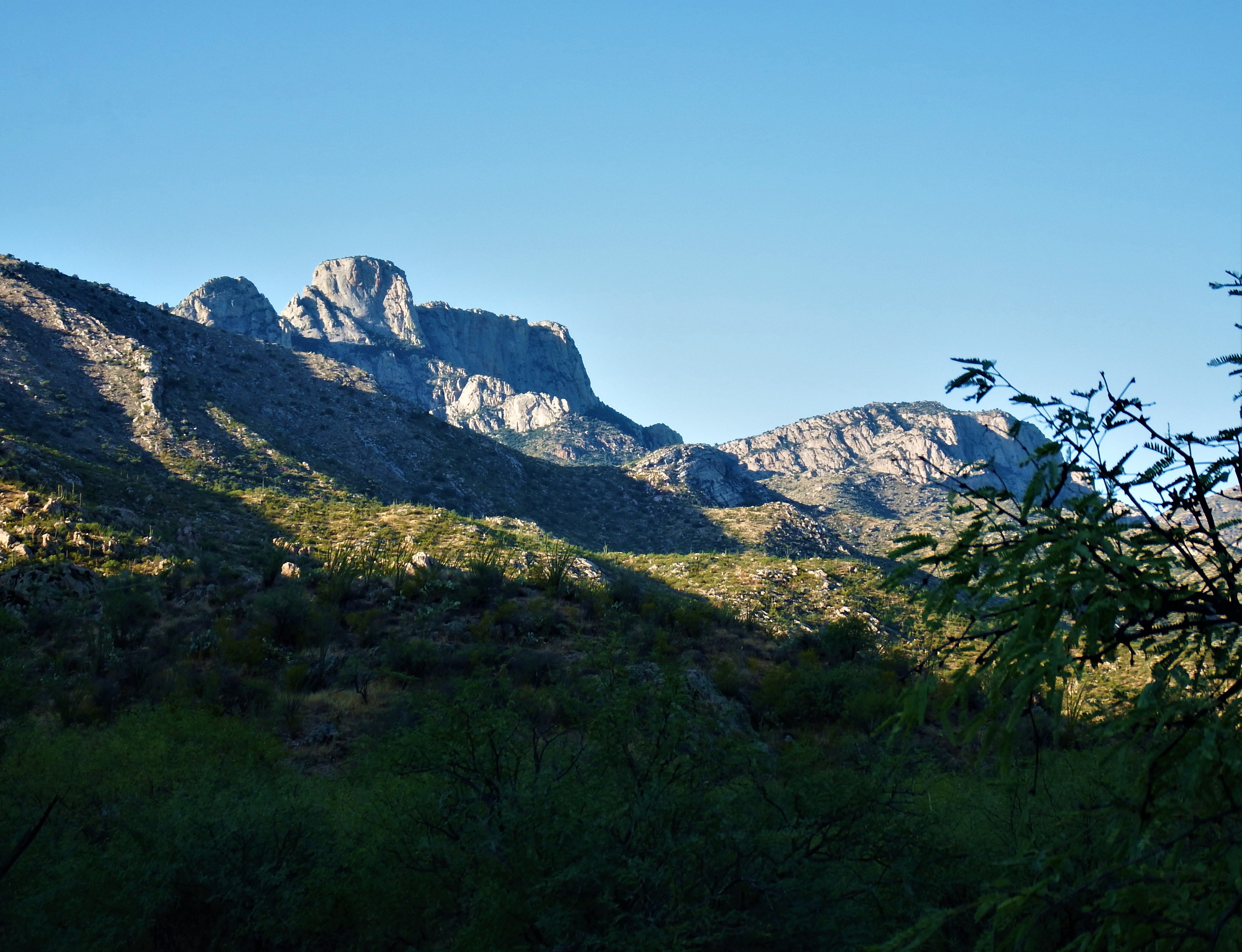 Hiking in Catalina State Park